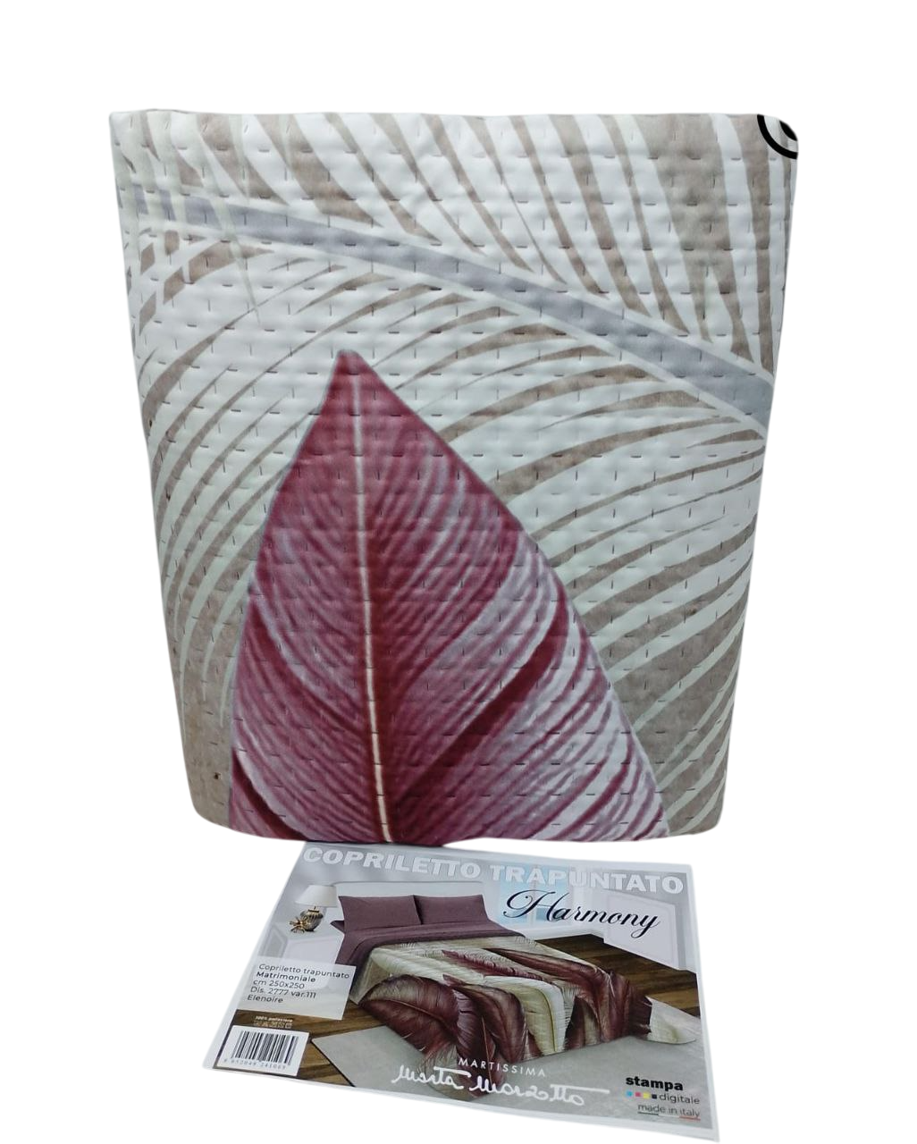 photo_2025-02-13_17-54-02 (2)-Photoroom