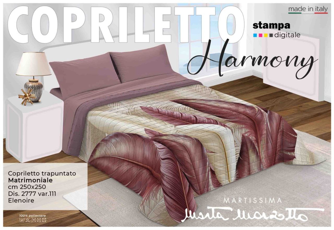 photo_2025-02-13_17-54-02