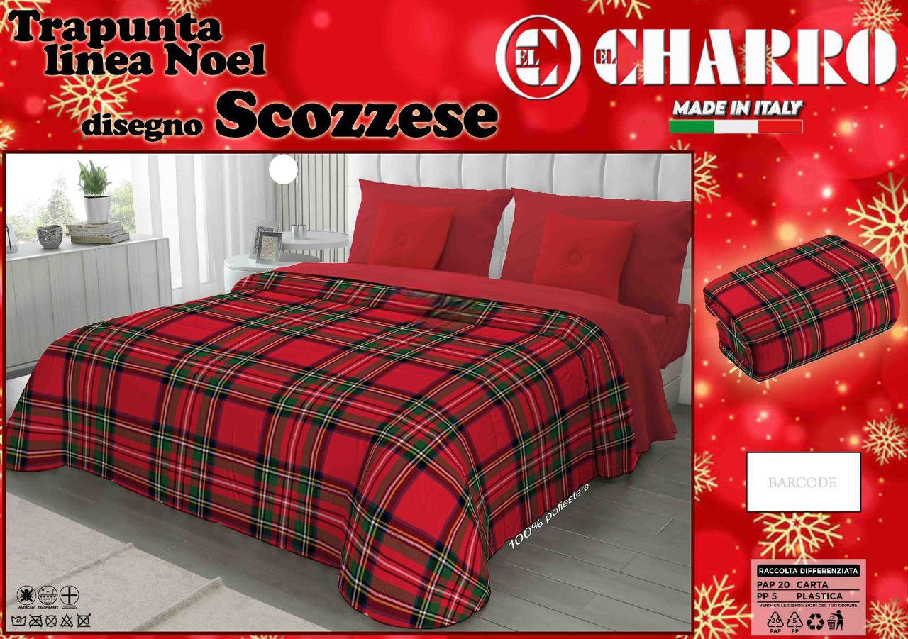 photo_2025-08-29_12-32-57-Photoroom